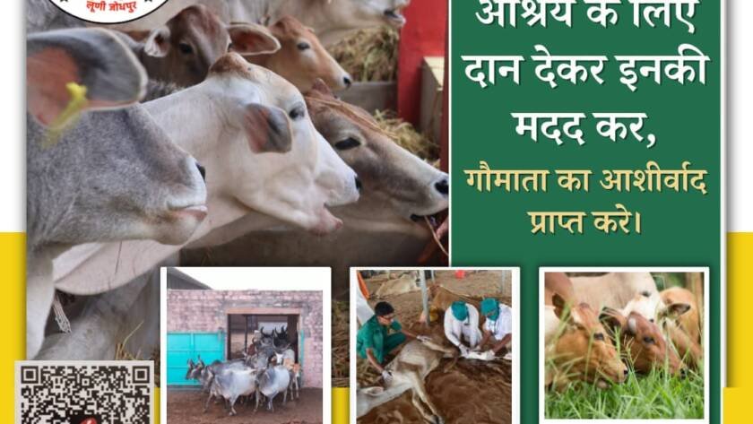 rajeshwardham.com