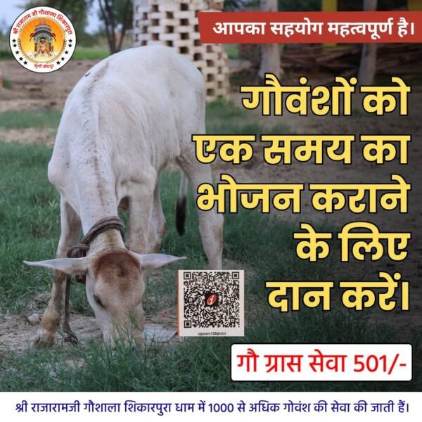 rajeshwardham.com